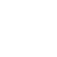 Homepage 37 punjabi white logo
